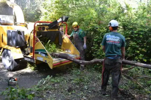 tree services Garnett